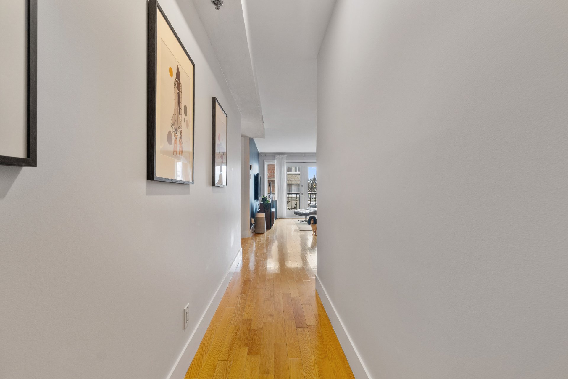 Photo - Hall d'entrée