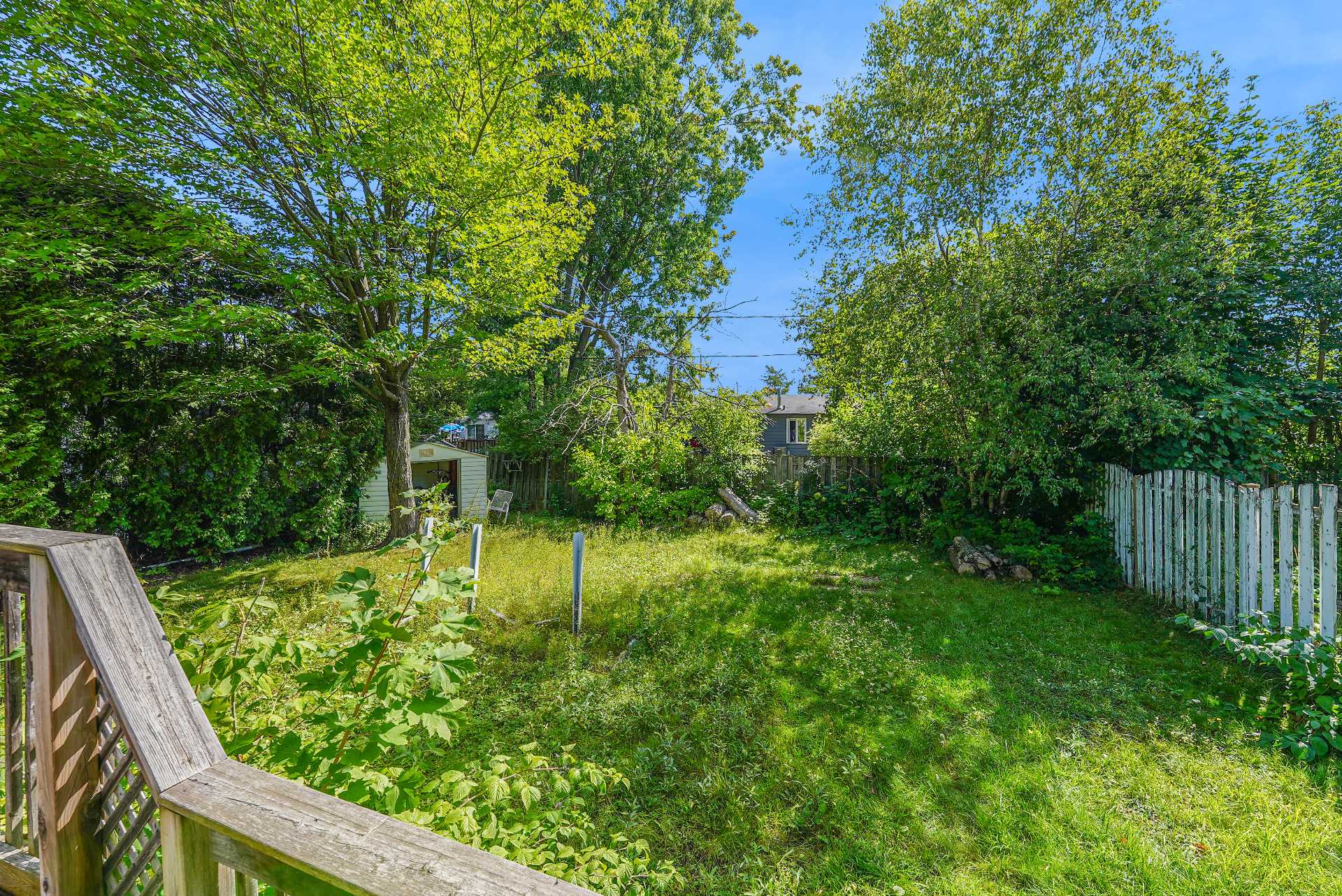 Photo - Backyard