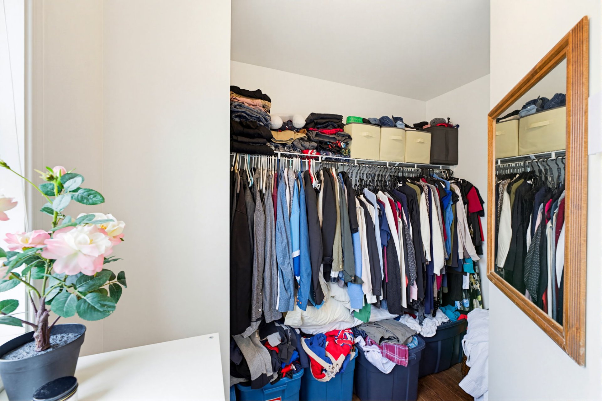 Photo - Walk-in closet