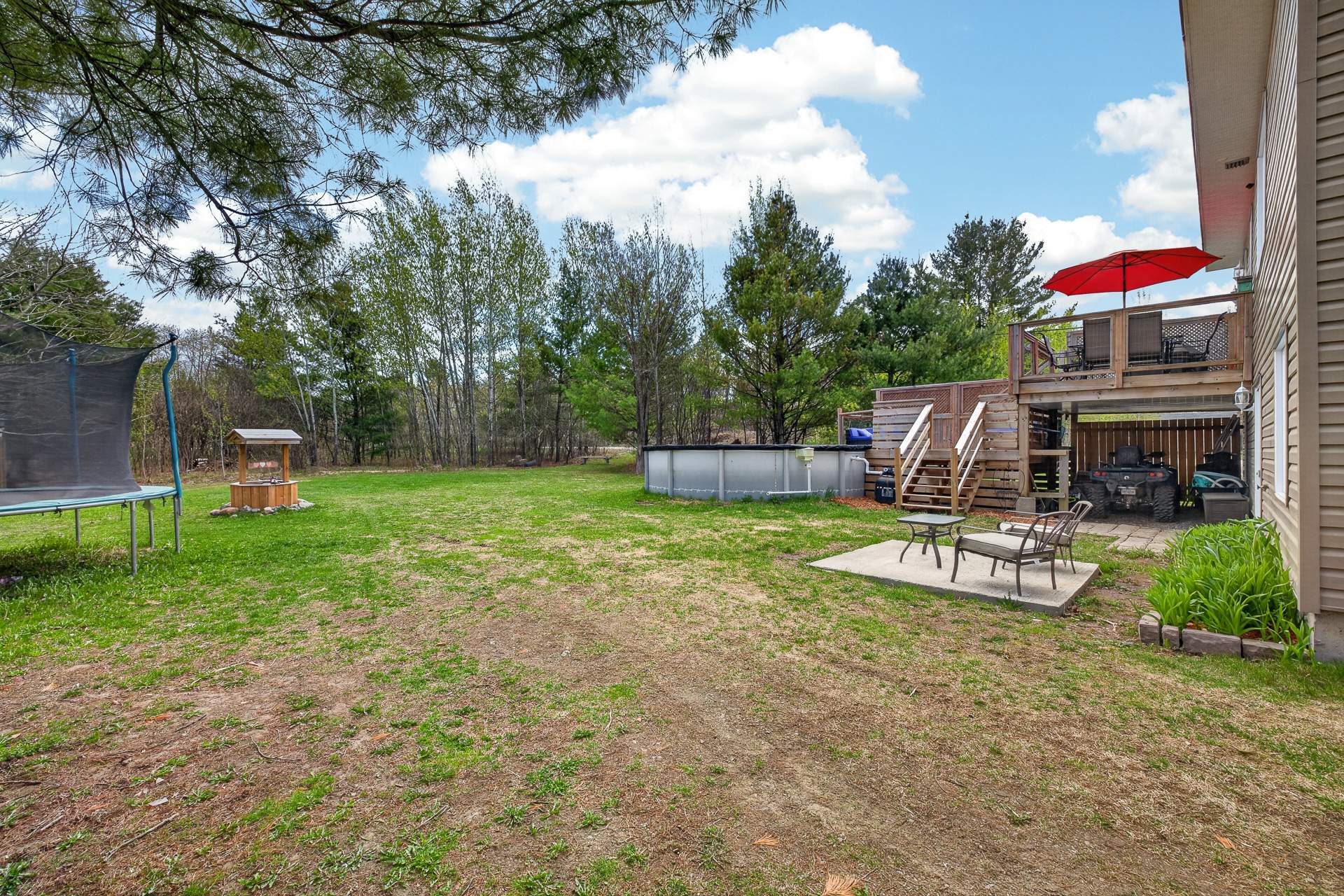 Photo - Backyard