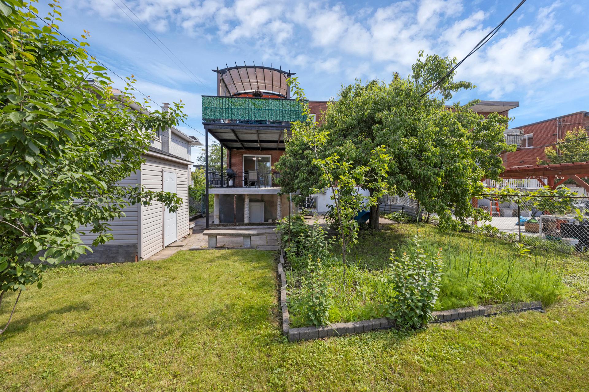 Photo - Backyard