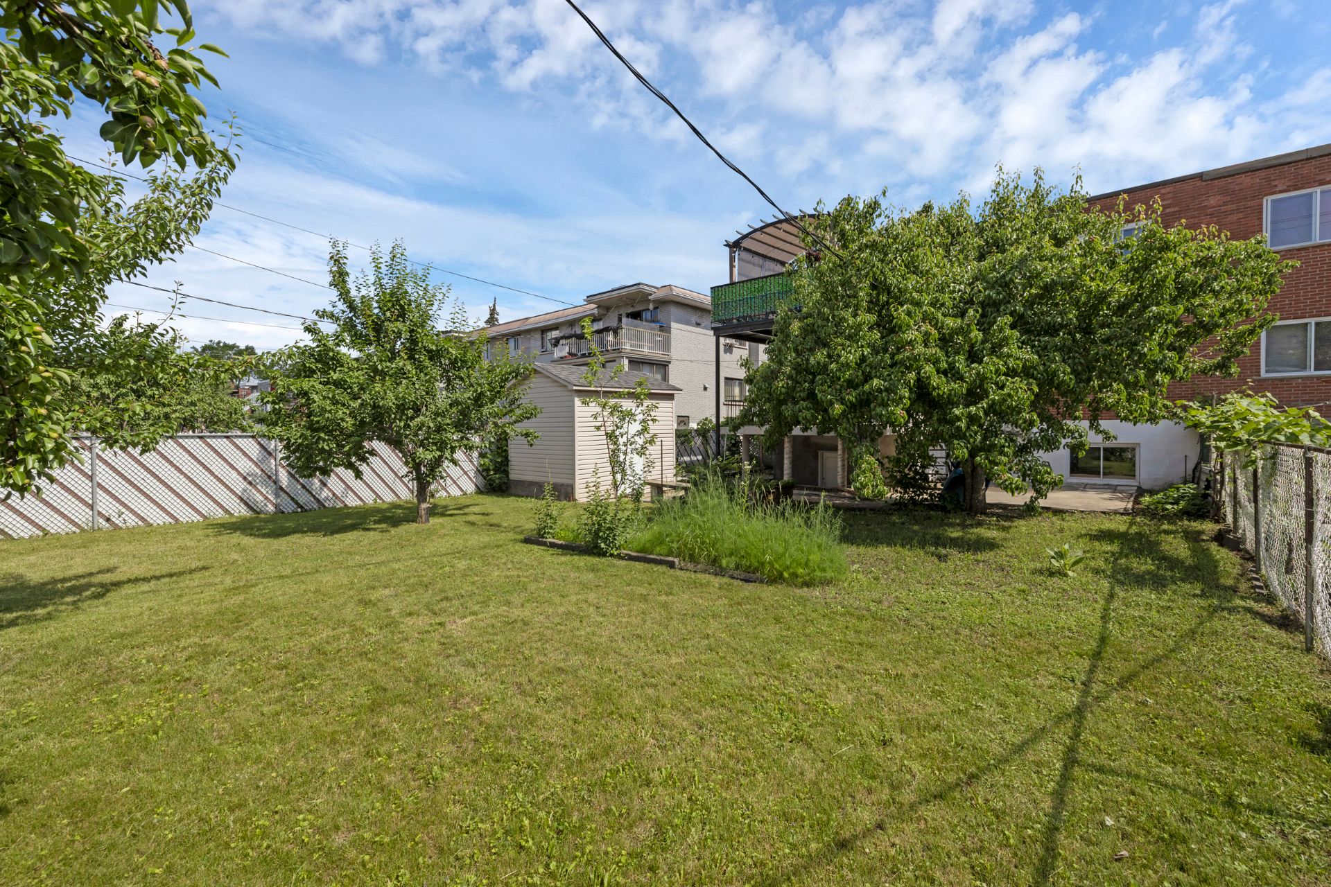 Photo - Backyard