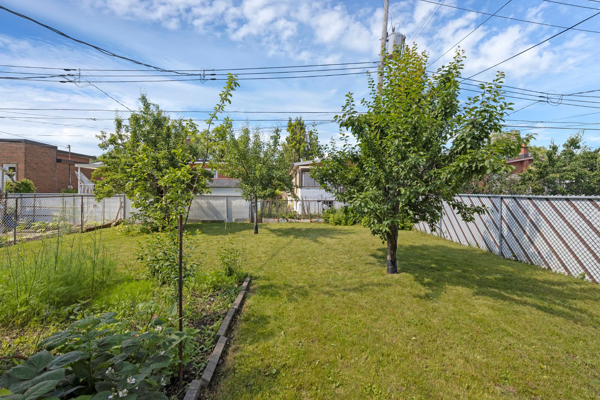 Photo - Backyard