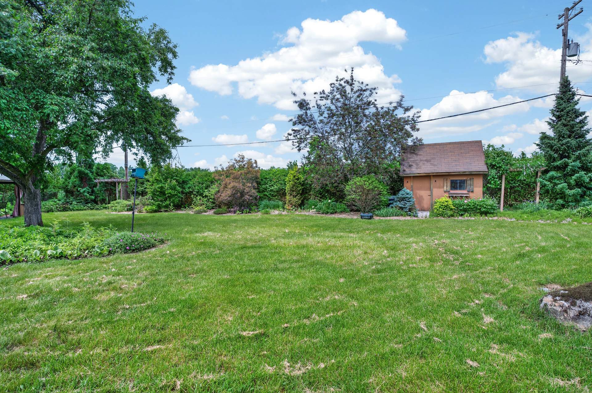 Photo - Backyard