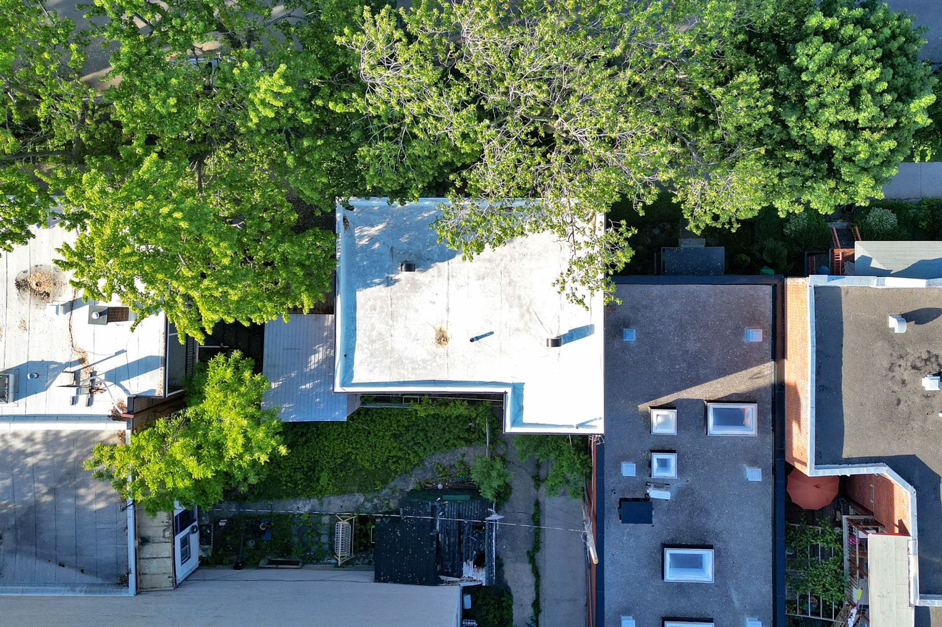 Photo - Aerial photo