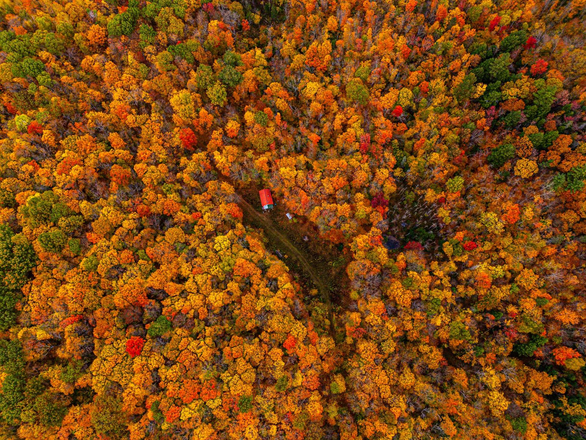 Photo - Aerial photo