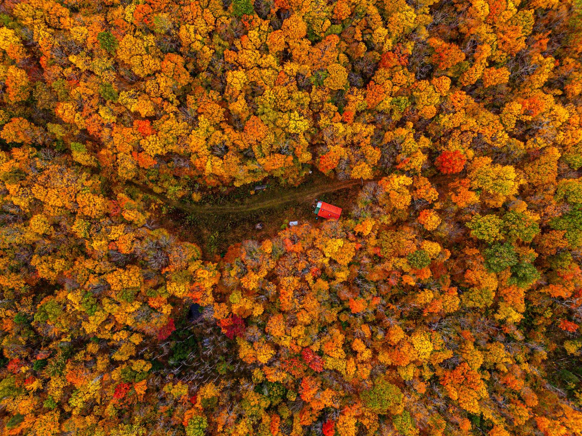 Photo - Aerial photo