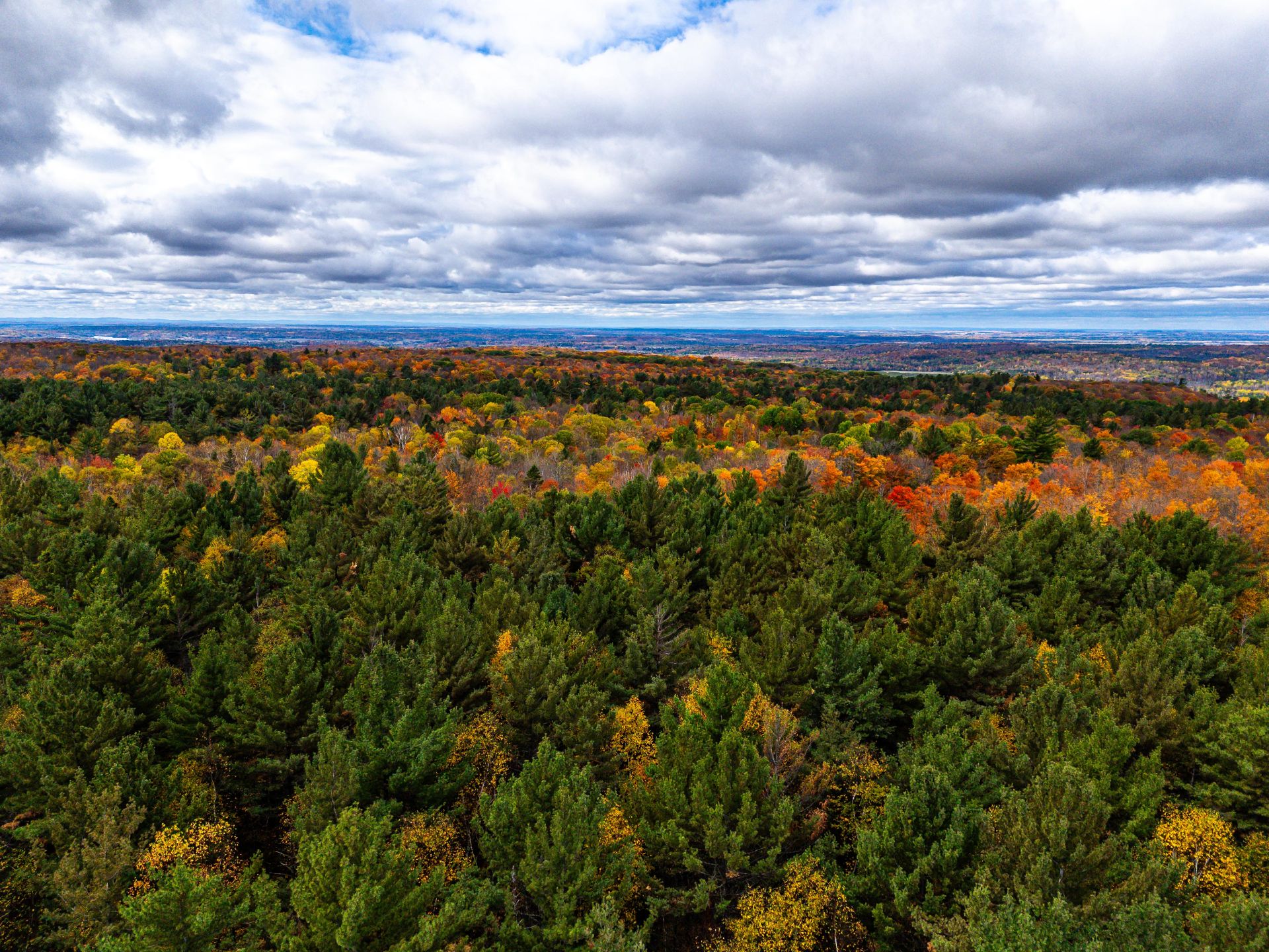 Photo - Aerial photo