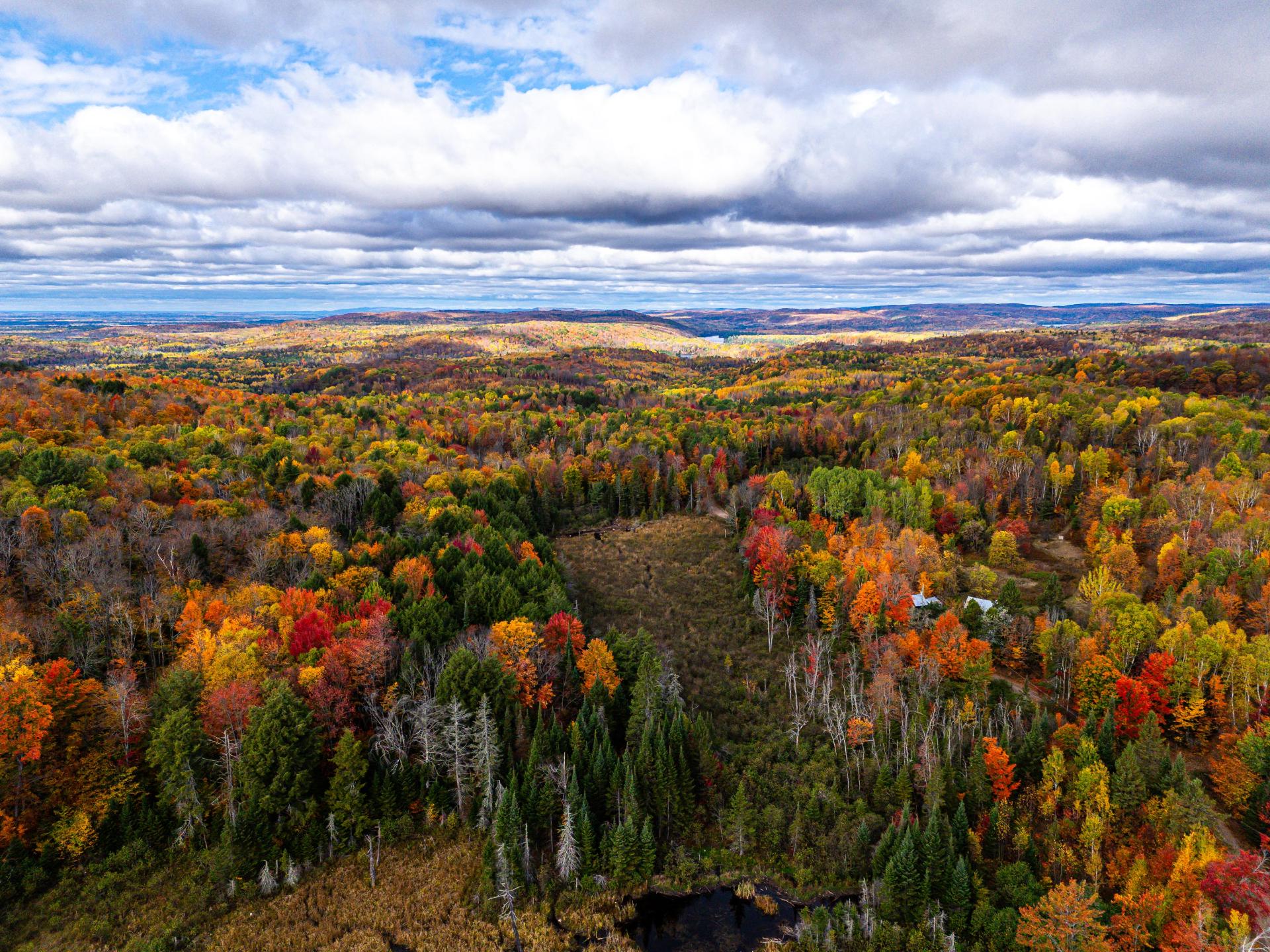 Photo - Aerial photo