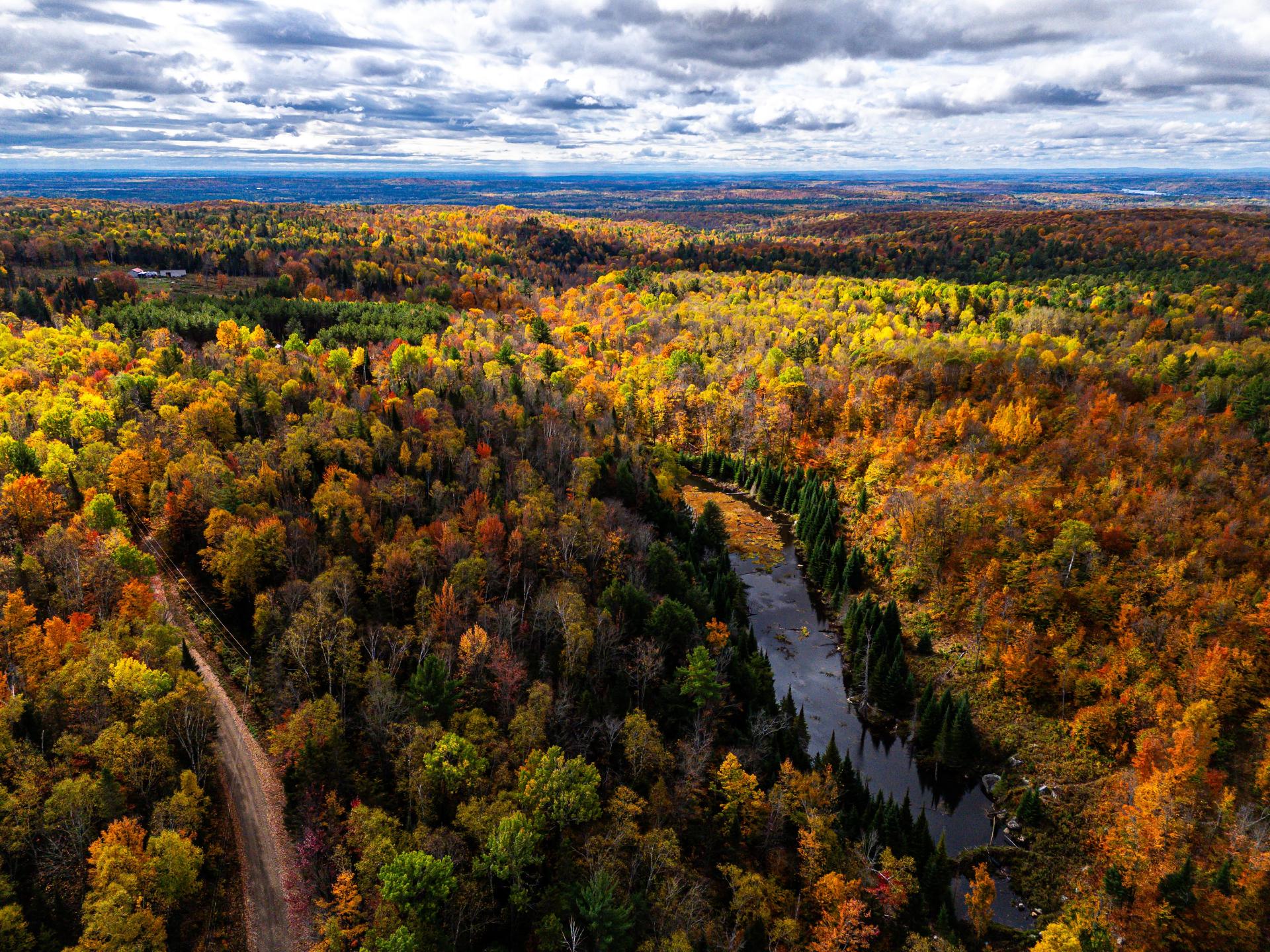 Photo - Aerial photo