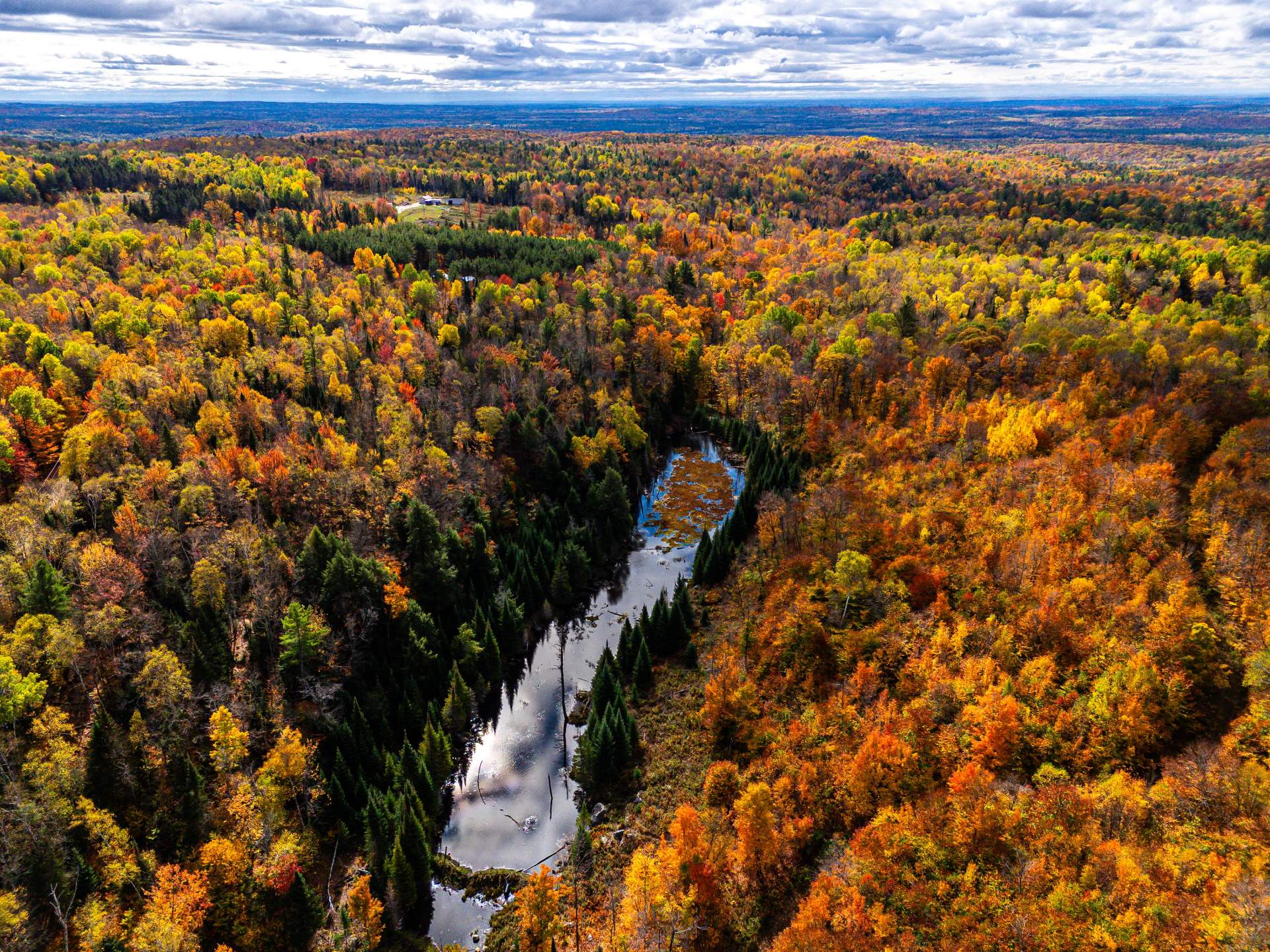 Photo - Aerial photo