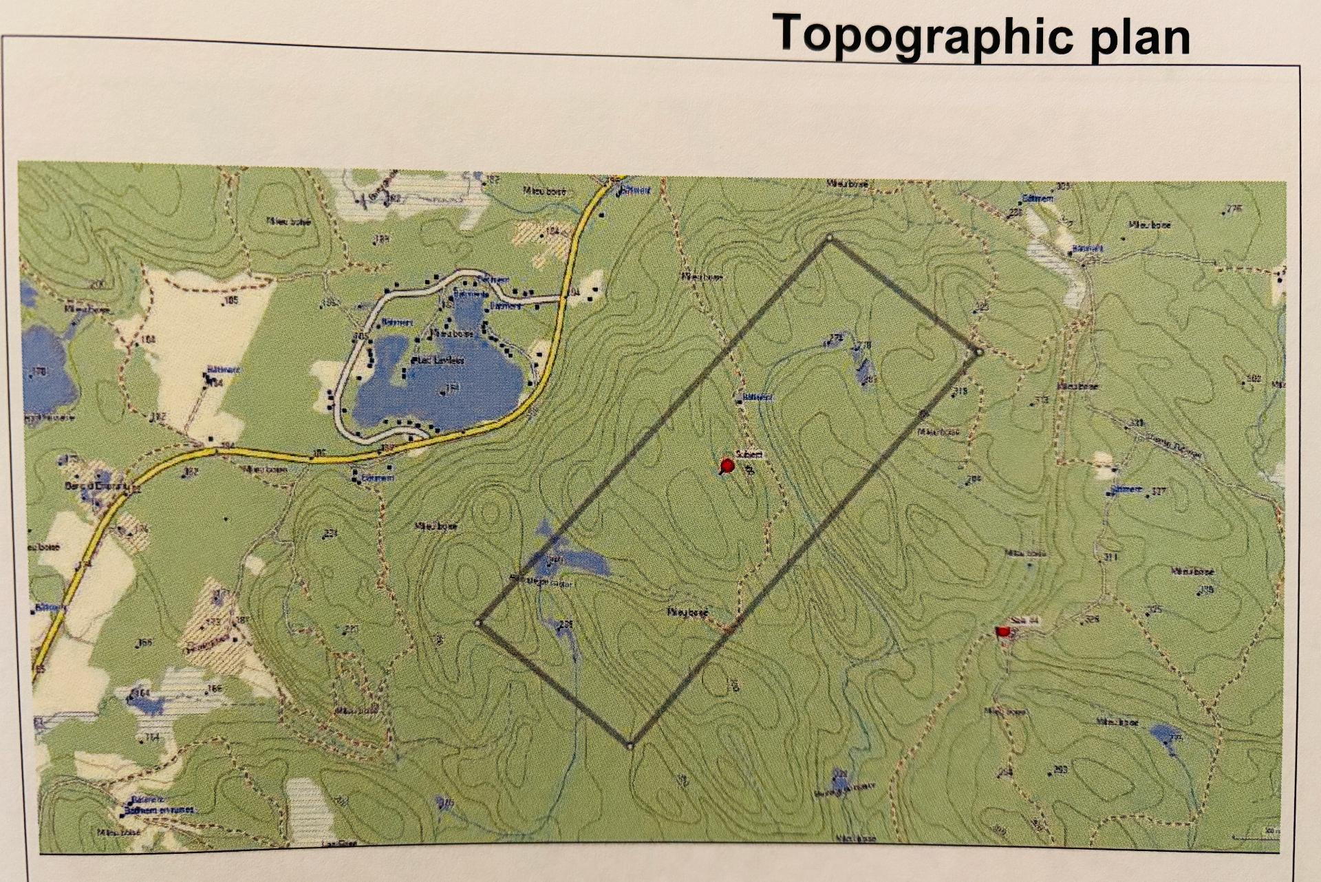 Photo - Drawing (sketch)