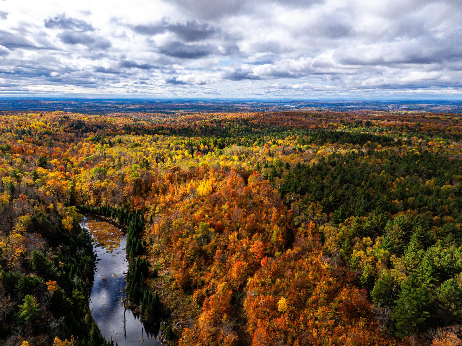 Photo - Aerial photo