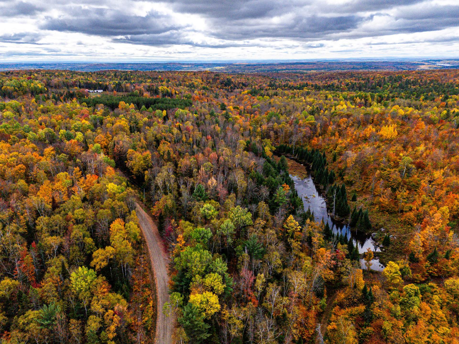 Photo - Aerial photo