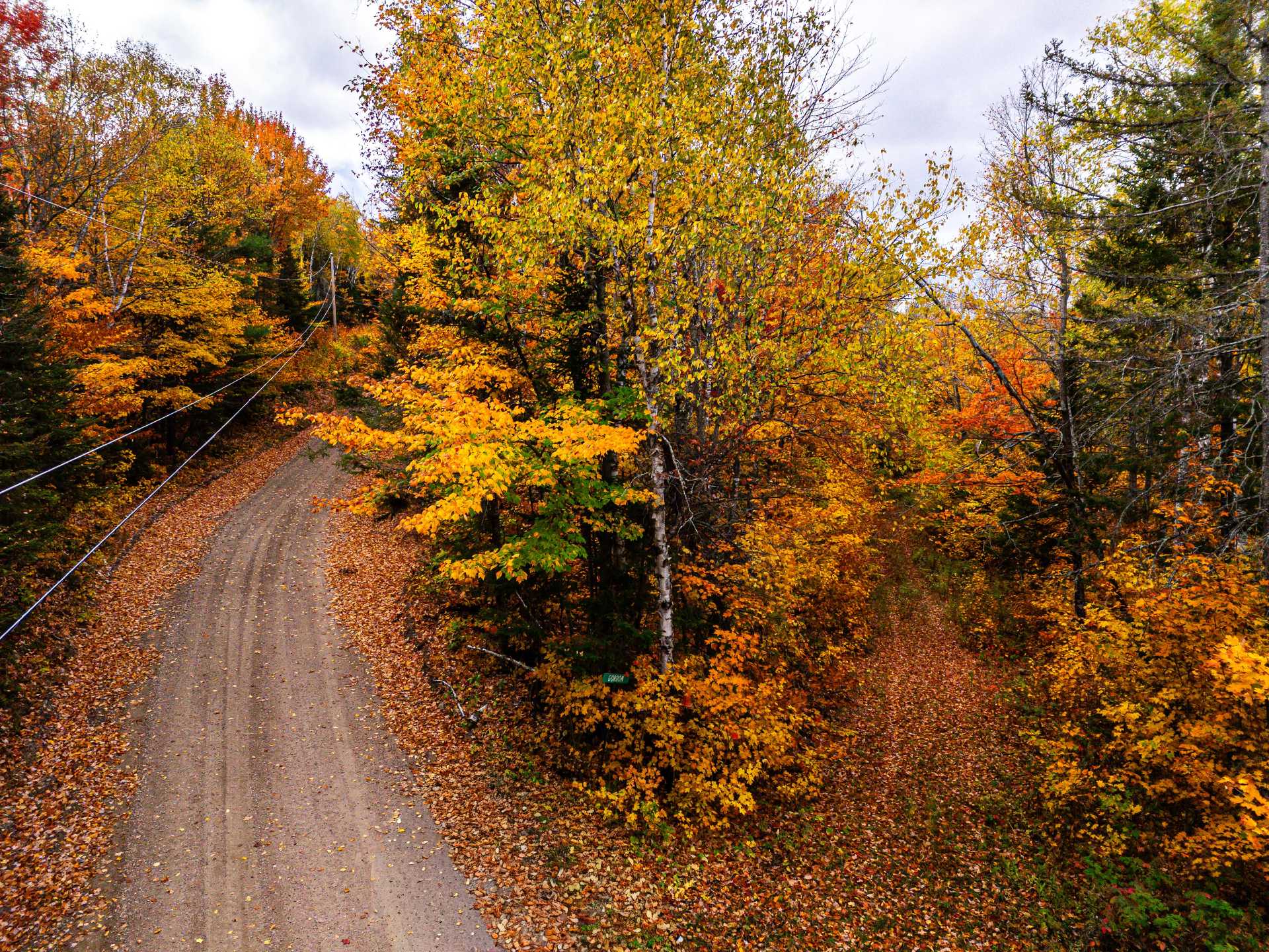 Photo - Aerial photo