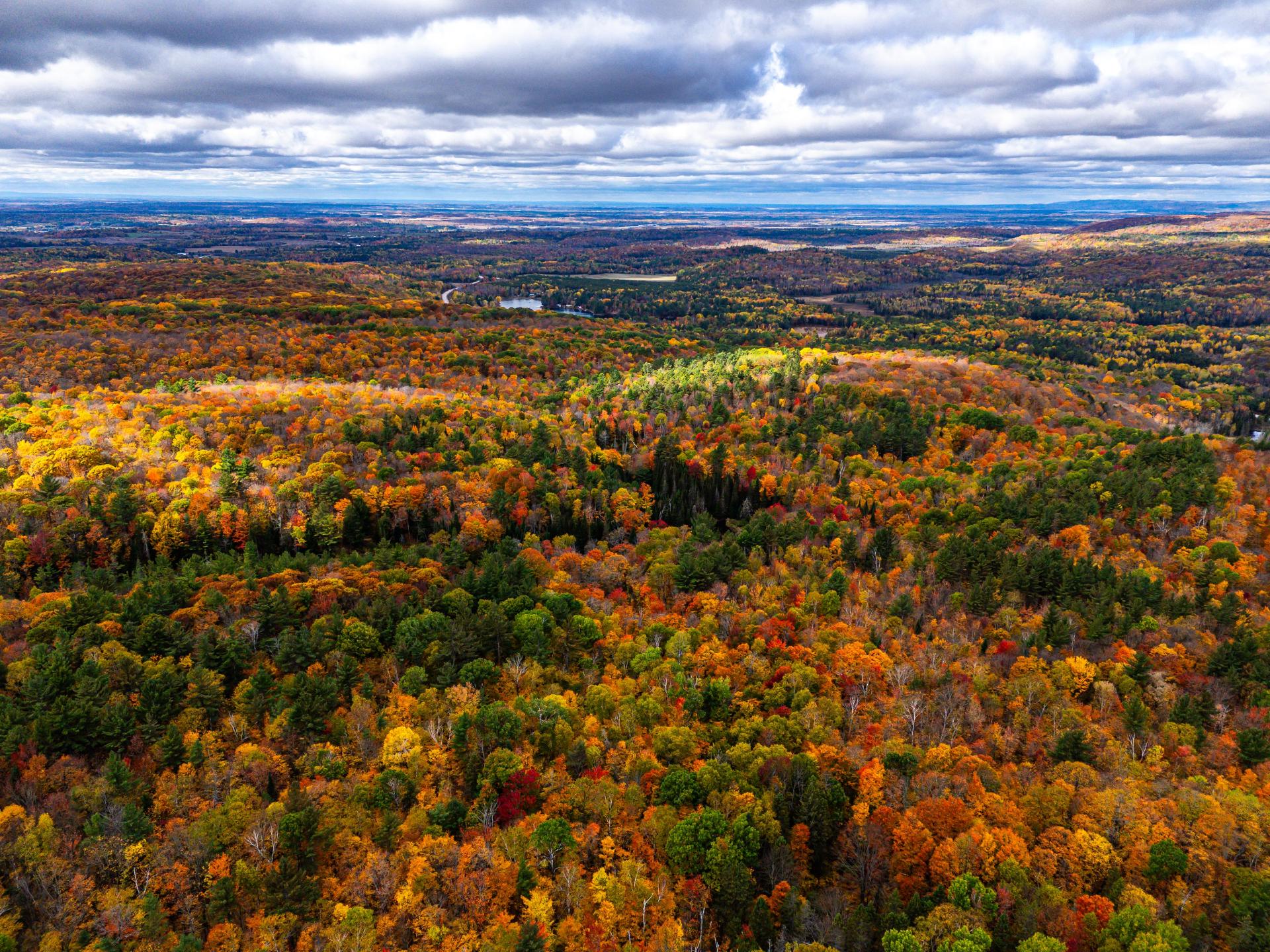 Photo - Aerial photo