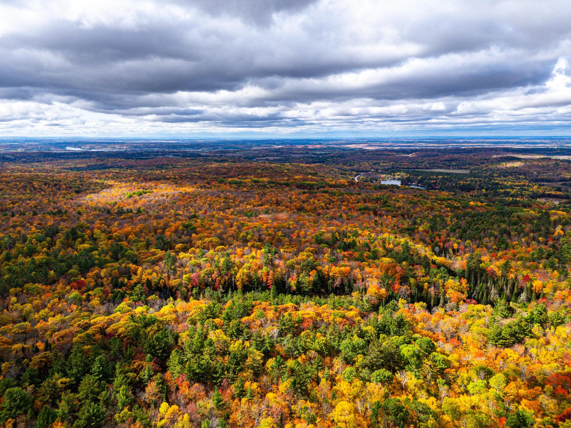 Photo - Aerial photo