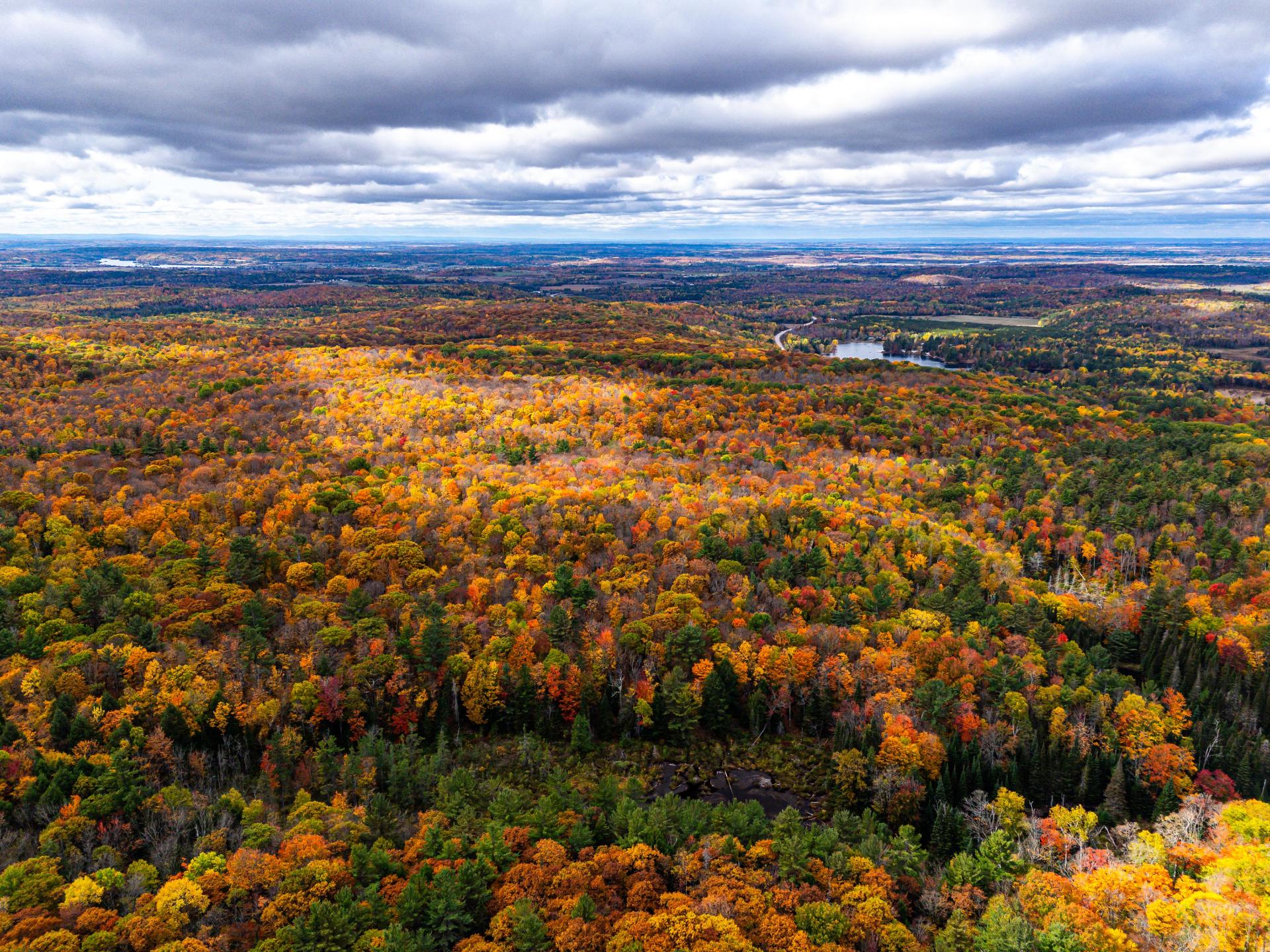 Photo - Aerial photo