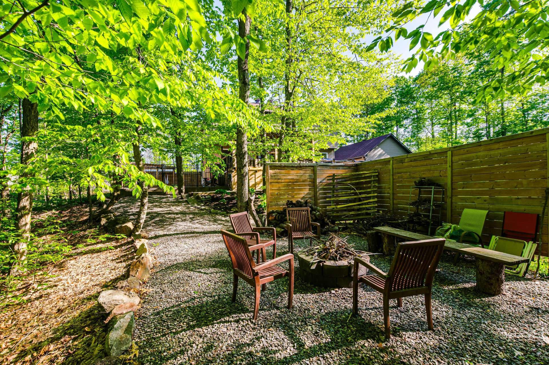 Photo - Backyard