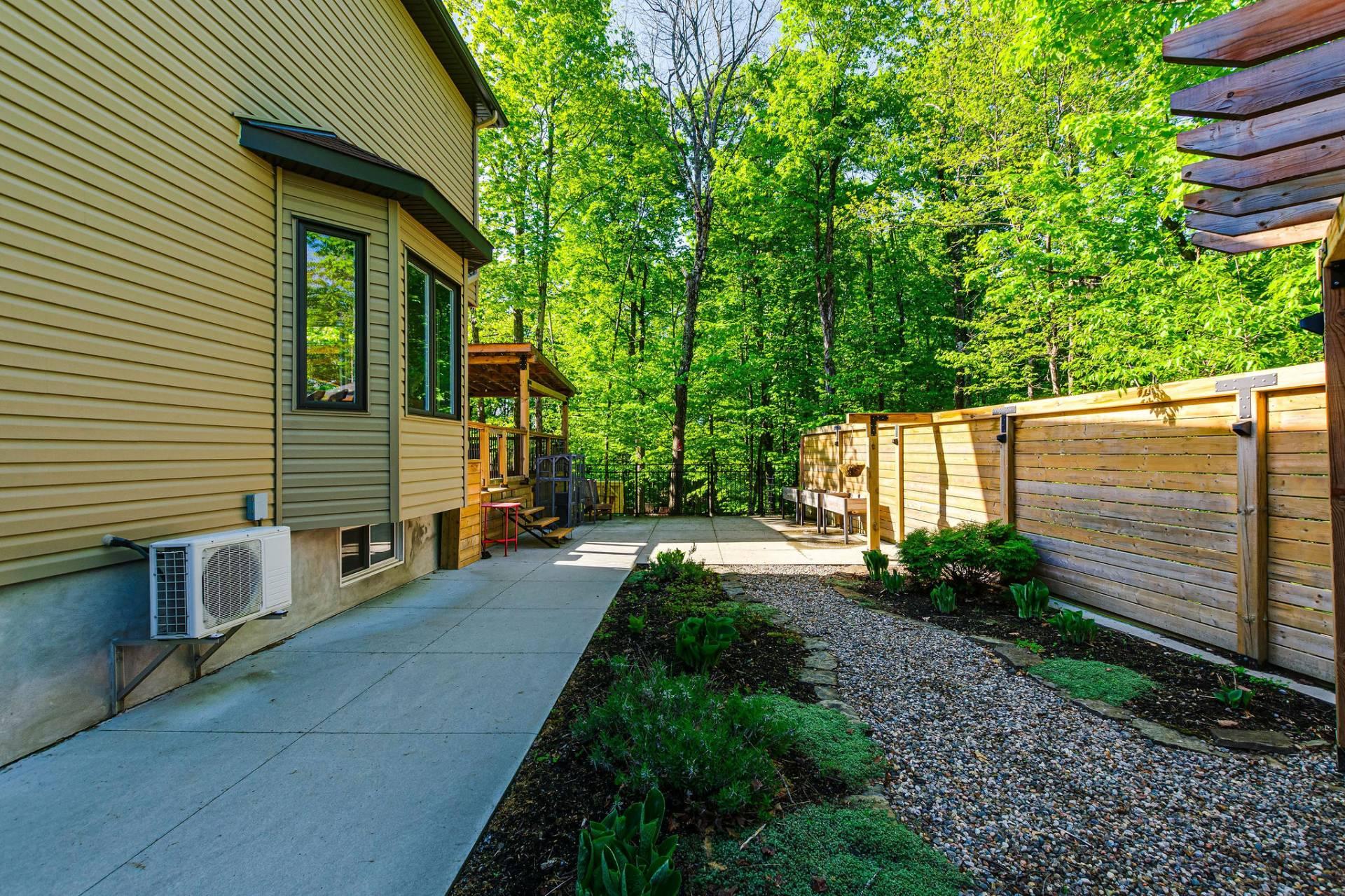 Photo - Backyard