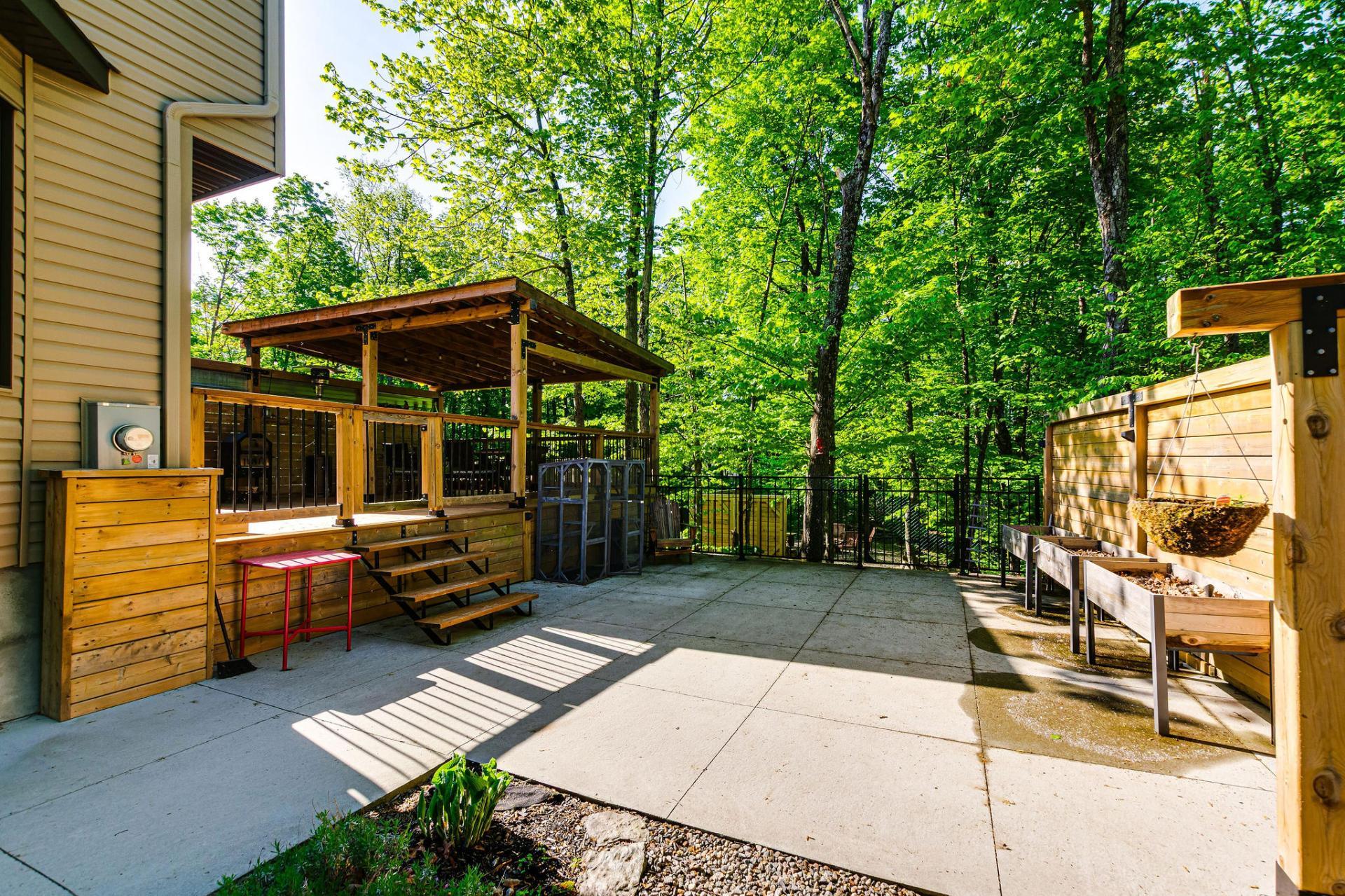 Photo - Backyard