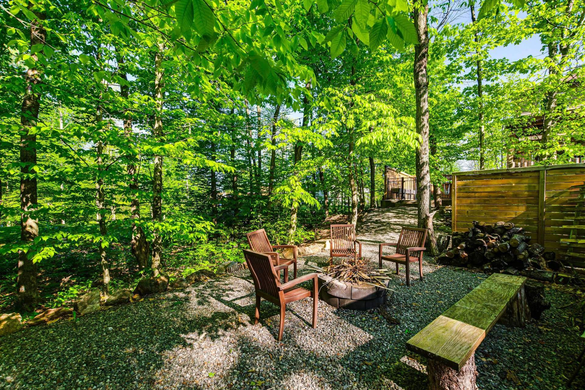 Photo - Backyard