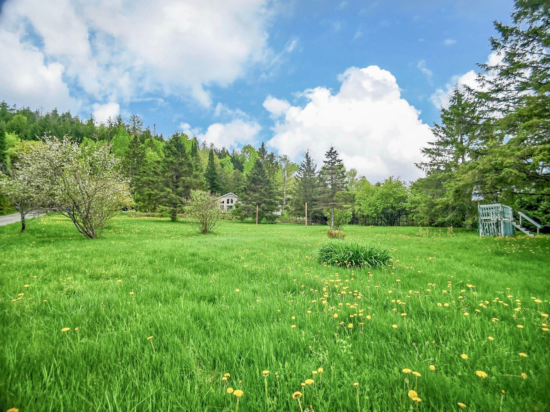 Photo - Terre/Terrain