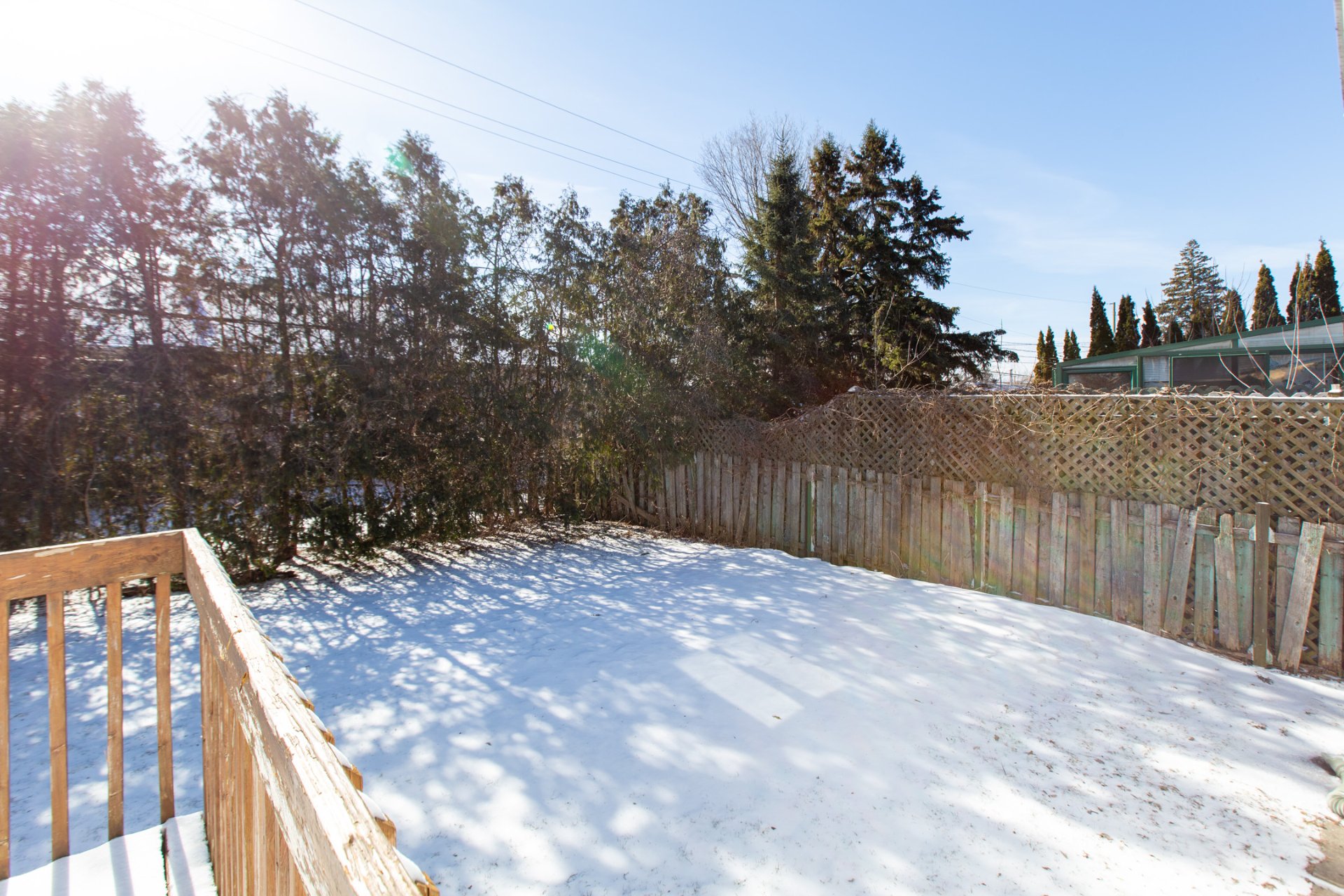 Photo - Backyard