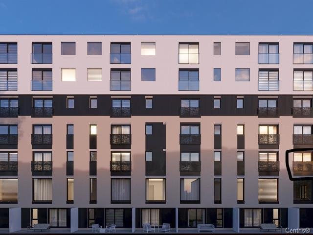 Photo - Face arrière