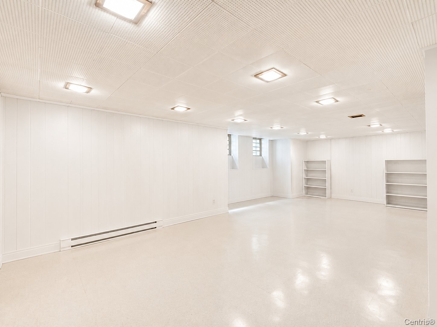 Photo - Basement