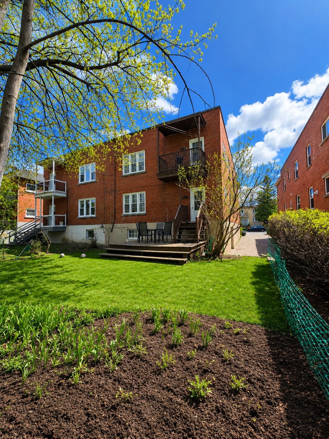Photo - Backyard