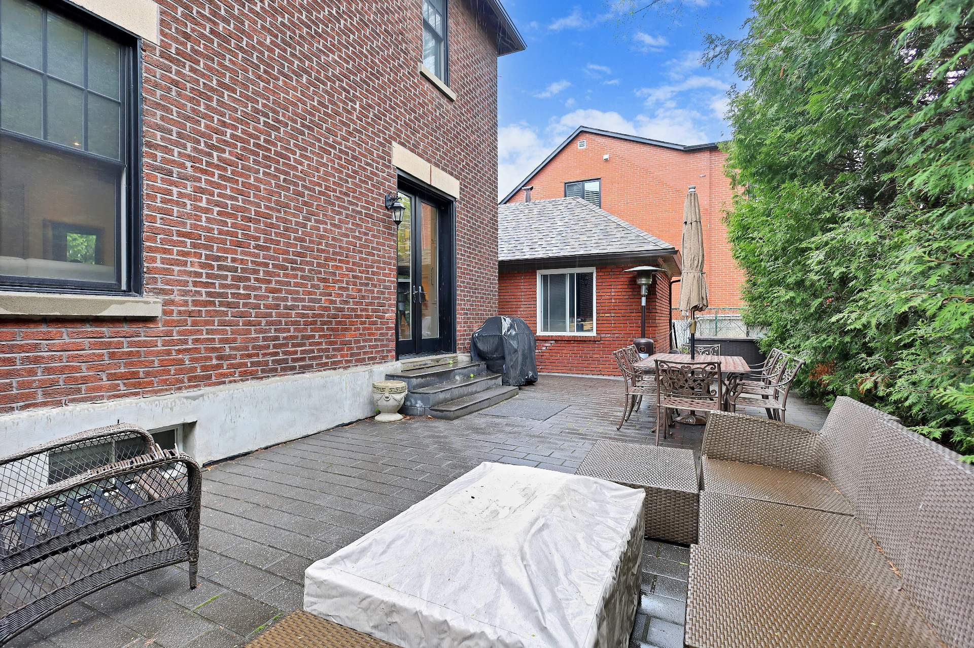 Photo - Backyard