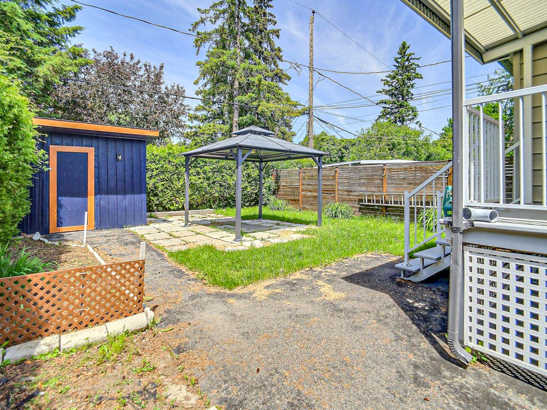 Photo - Backyard