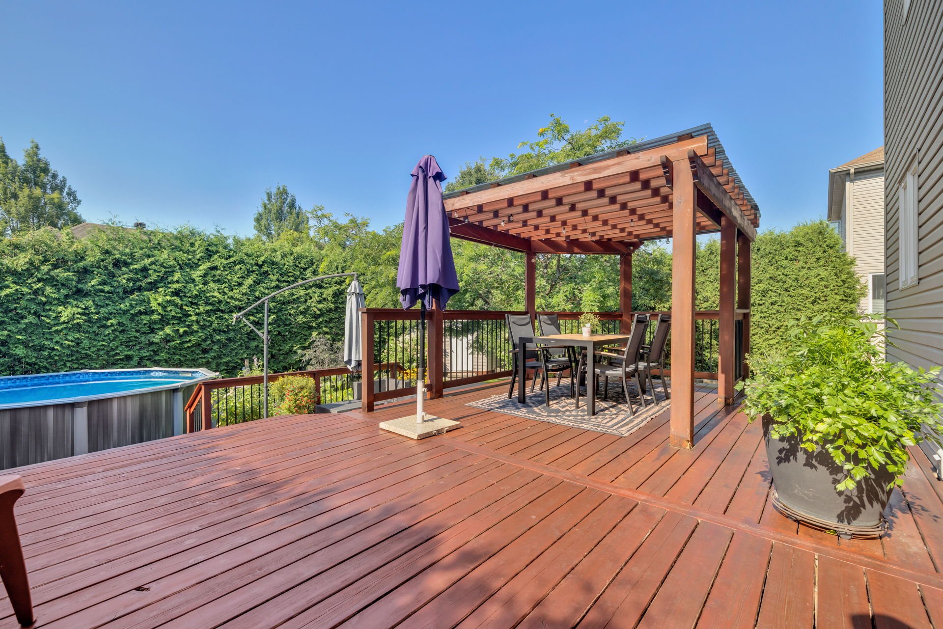 Photo - Backyard