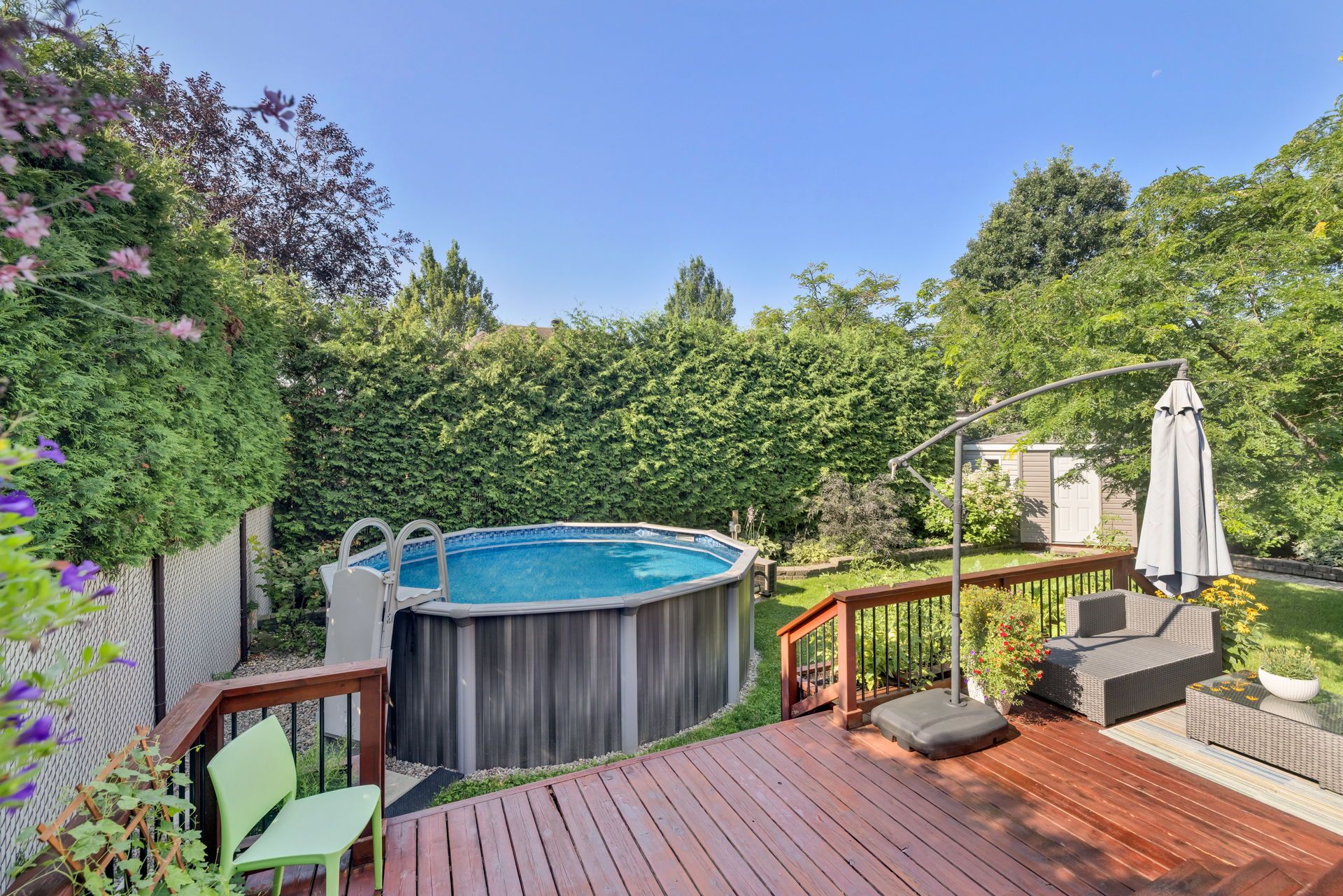 Photo - Backyard