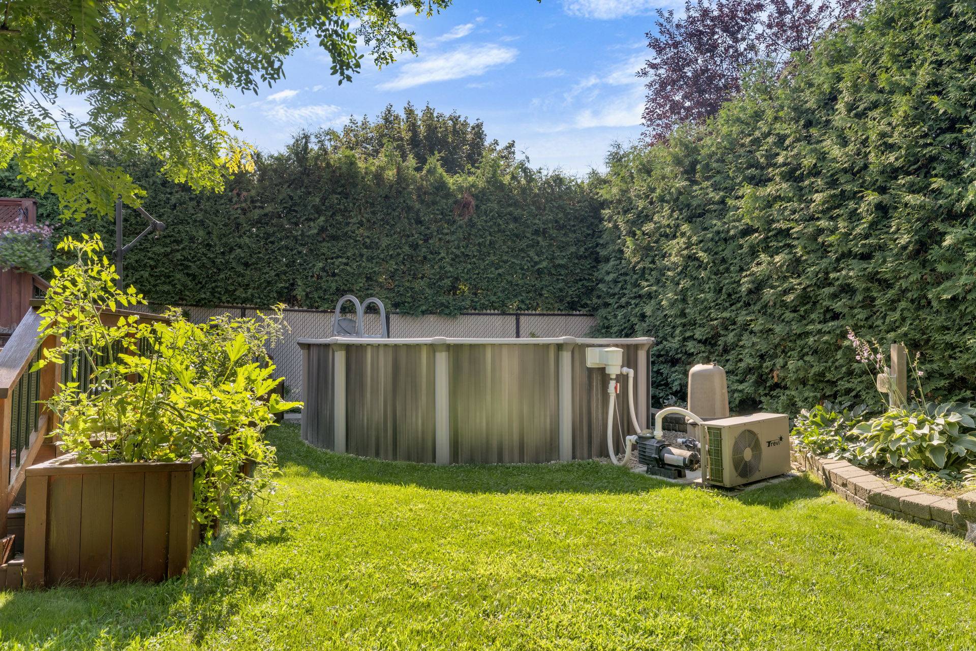 Photo - Backyard