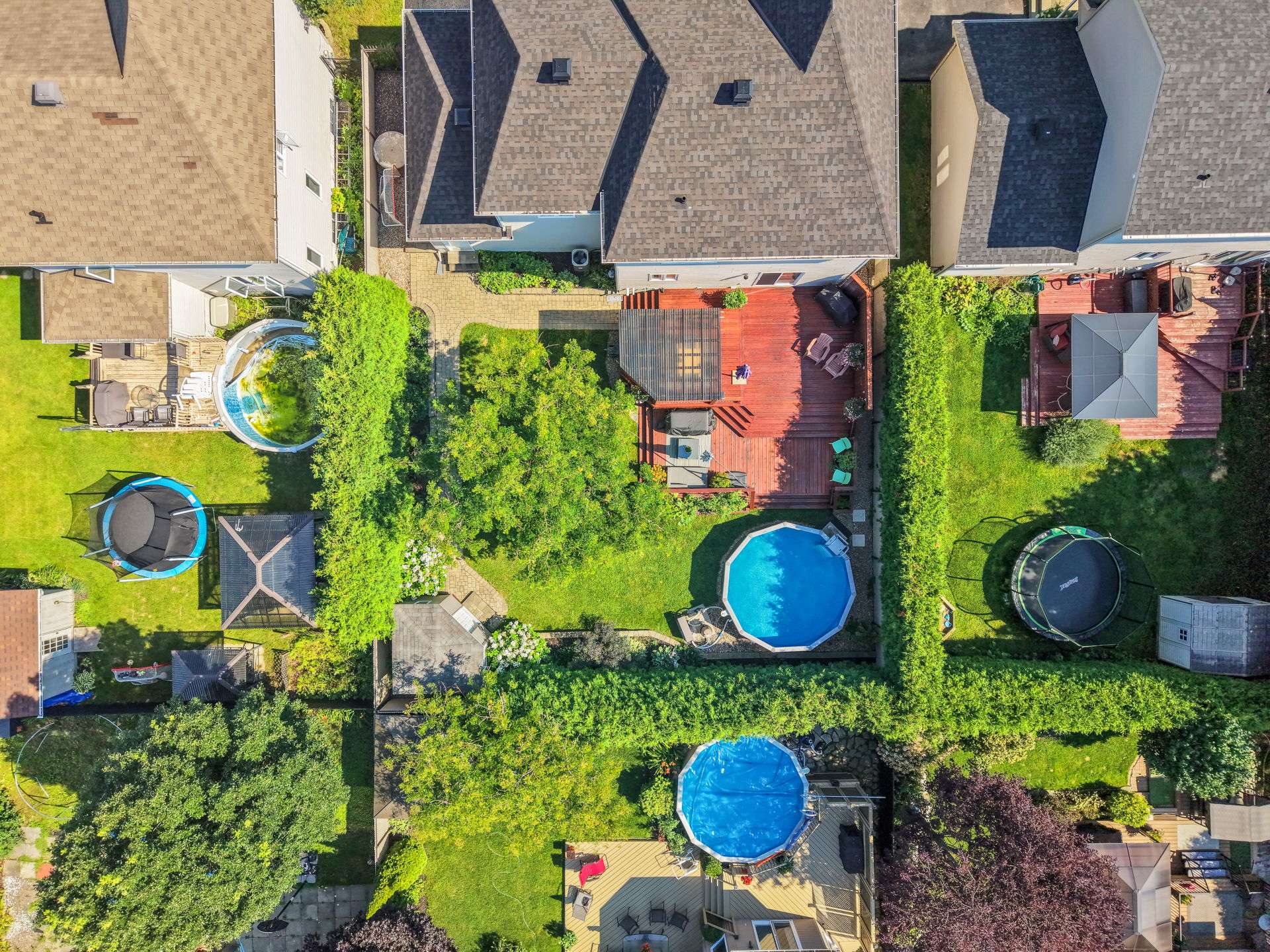 Photo - Aerial photo