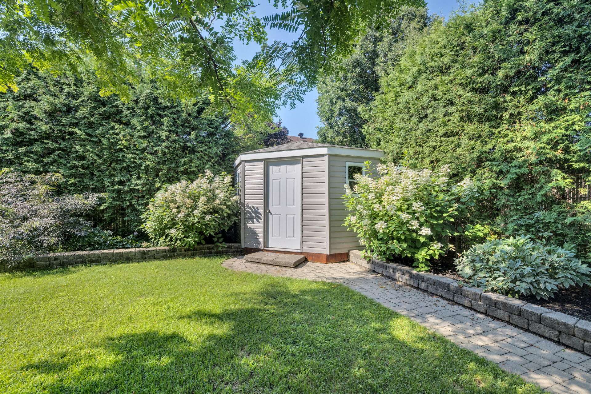 Photo - Backyard