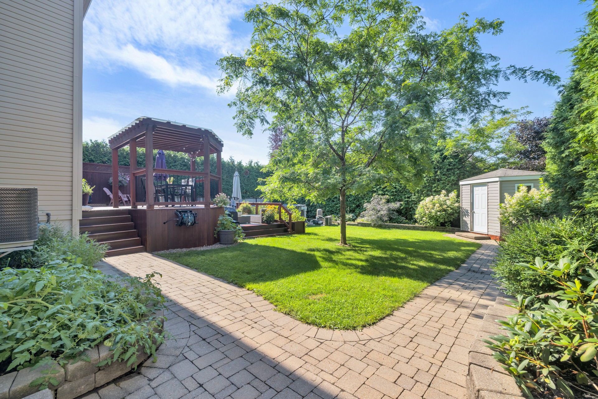 Photo - Backyard