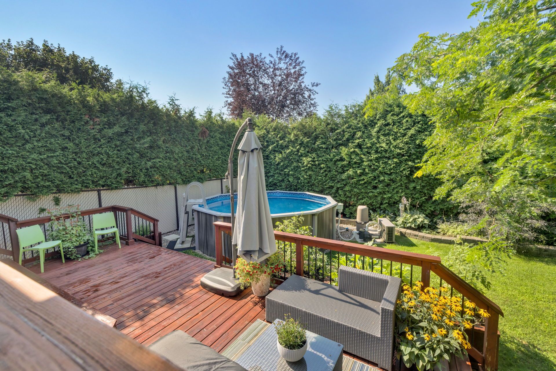 Photo - Backyard