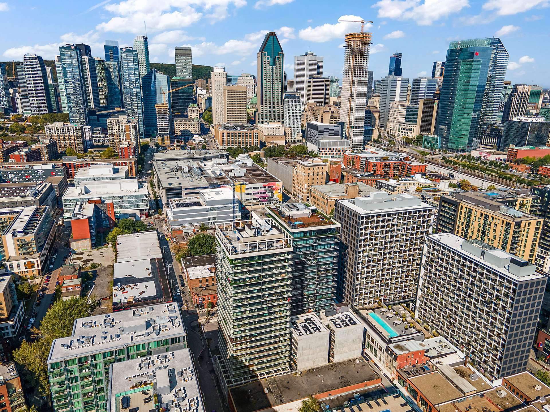 Photo - Aerial photo