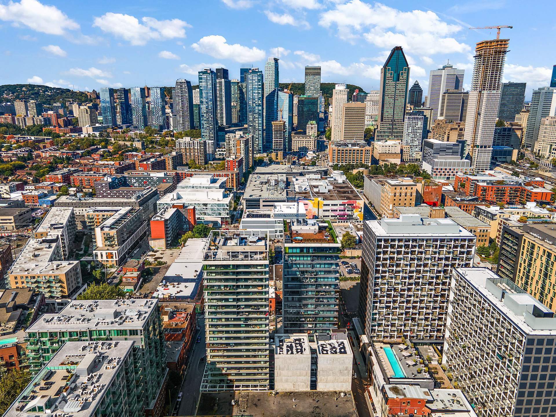 Photo - Aerial photo