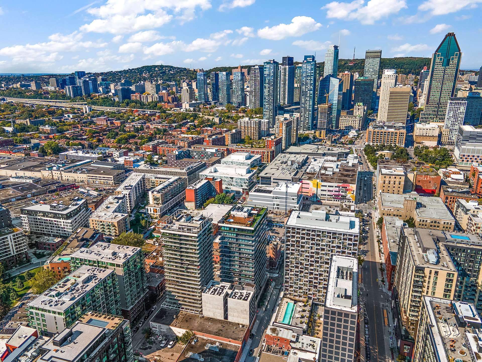 Photo - Aerial photo