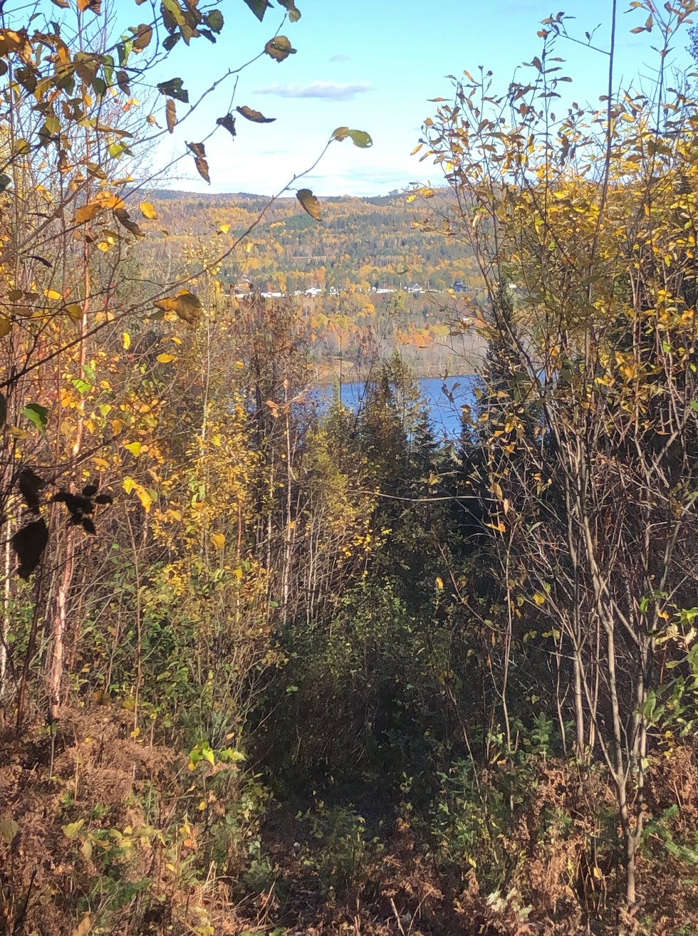 Photo - Vue
