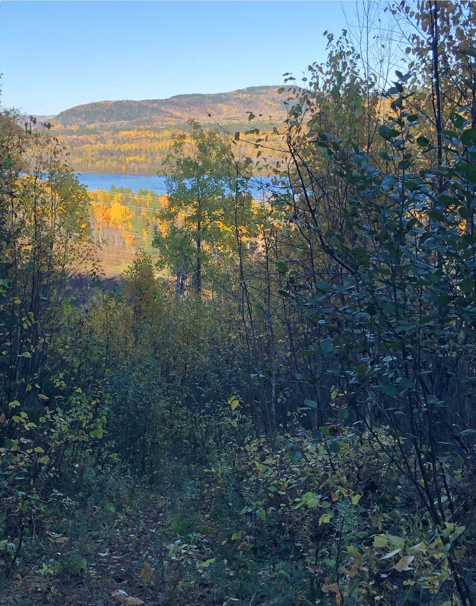 Photo - Vue