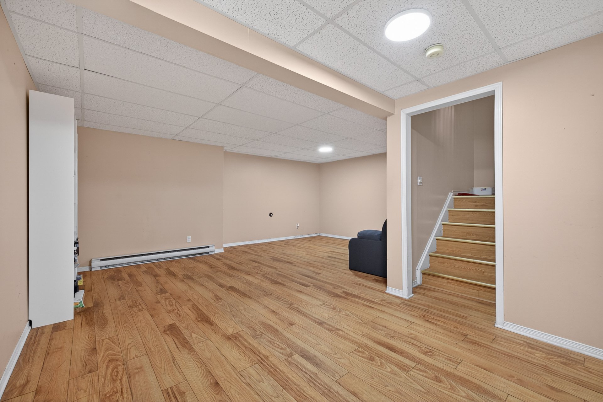 Photo - Basement