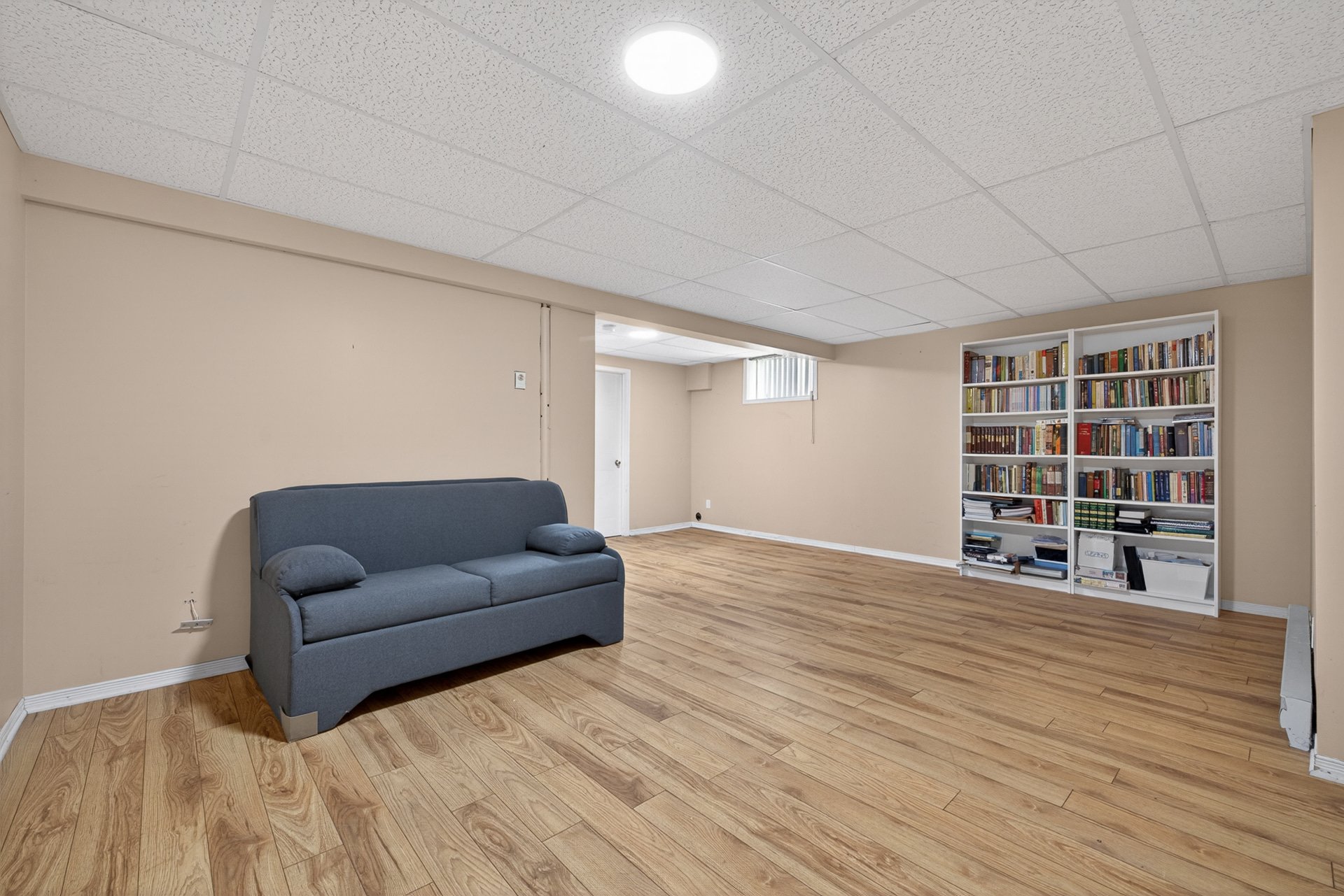 Photo - Basement