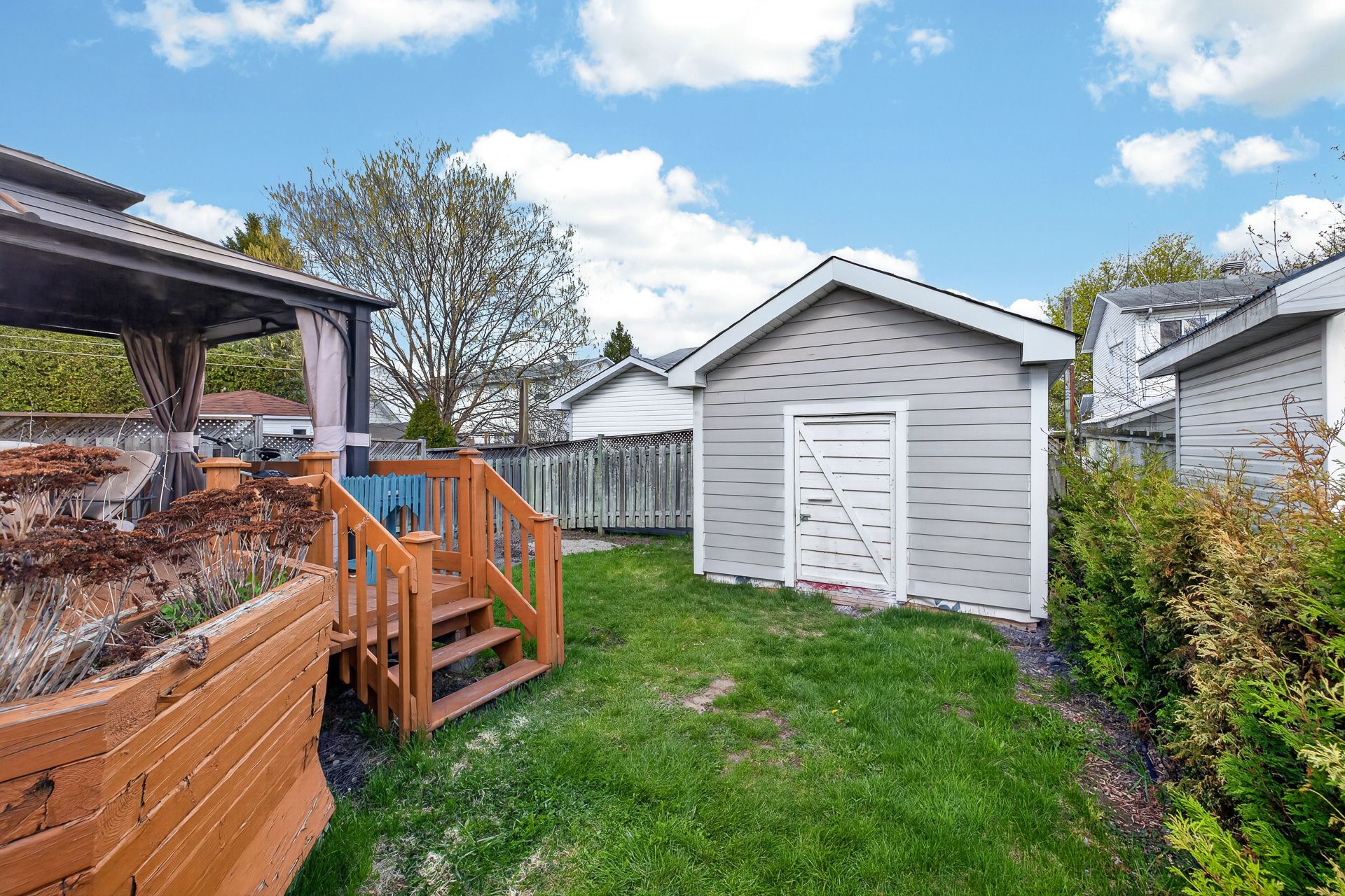 Photo - Backyard