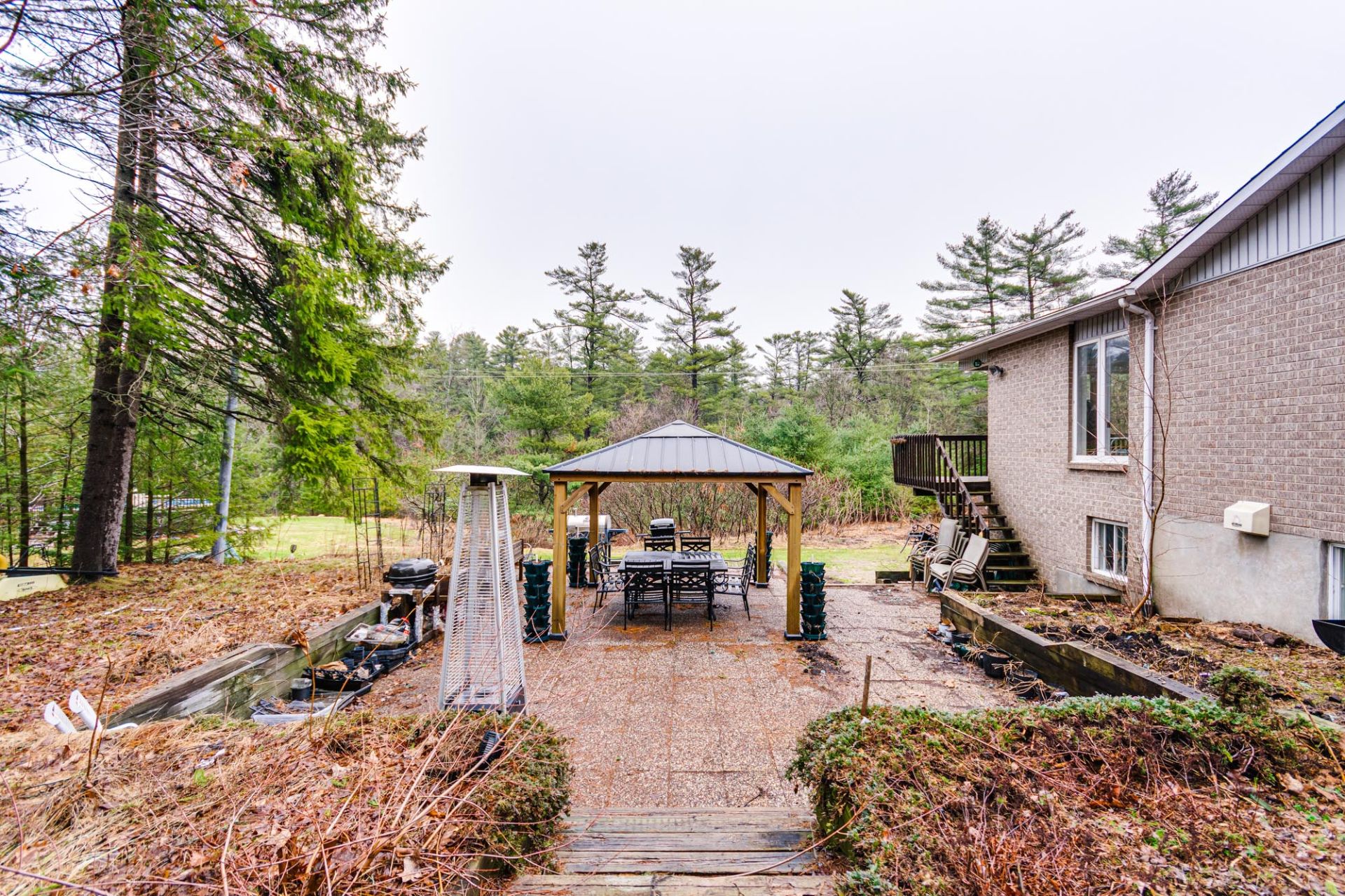 Photo - Backyard