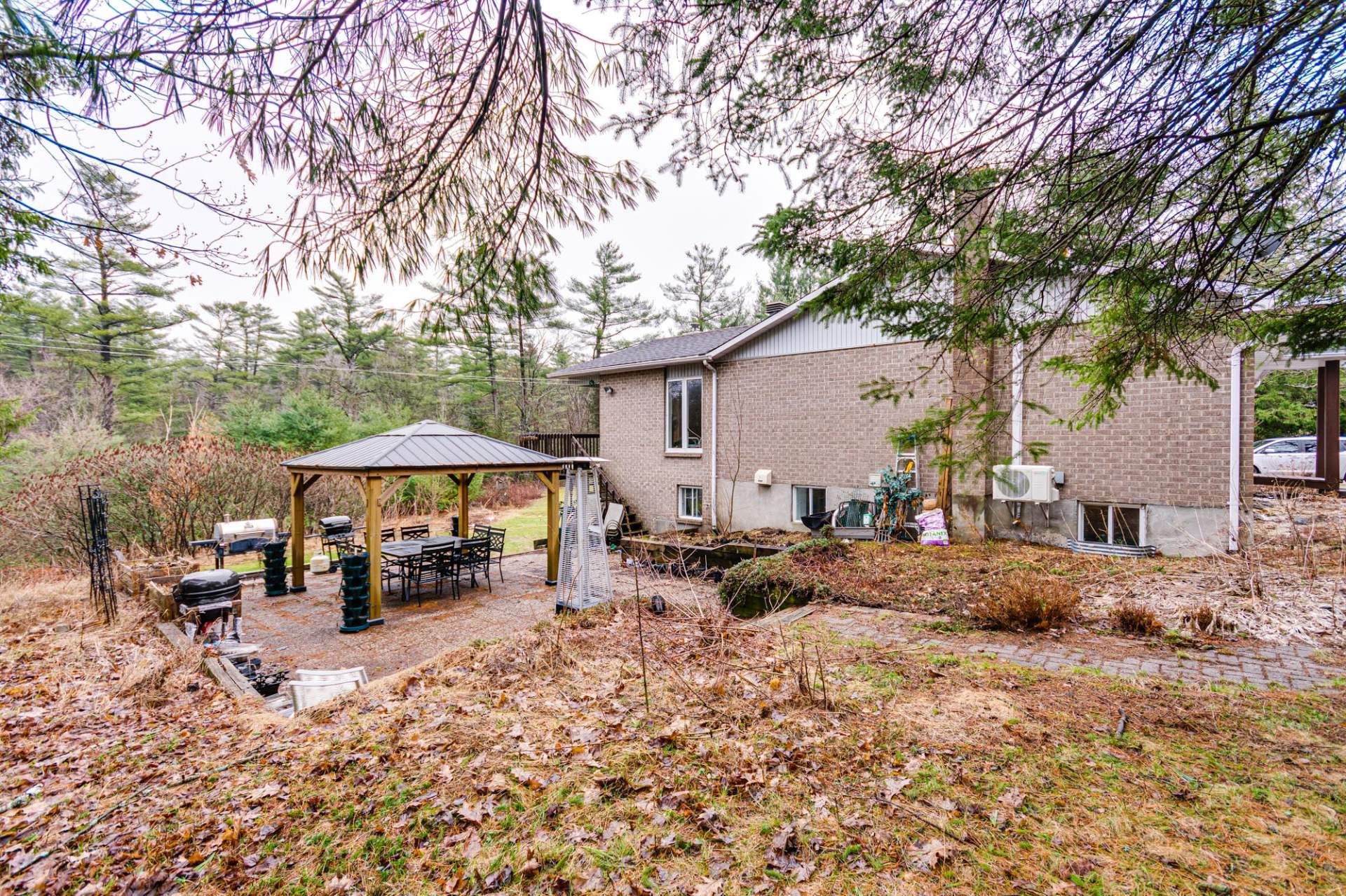 Photo - Backyard